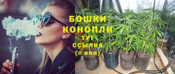 метадон Михайлов
