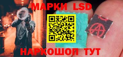 Альфа ПВП Гатчина