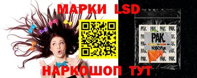 Альфа ПВП Гатчина