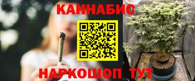 Альфа ПВП Гатчина