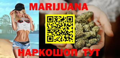 Альфа ПВП Гатчина