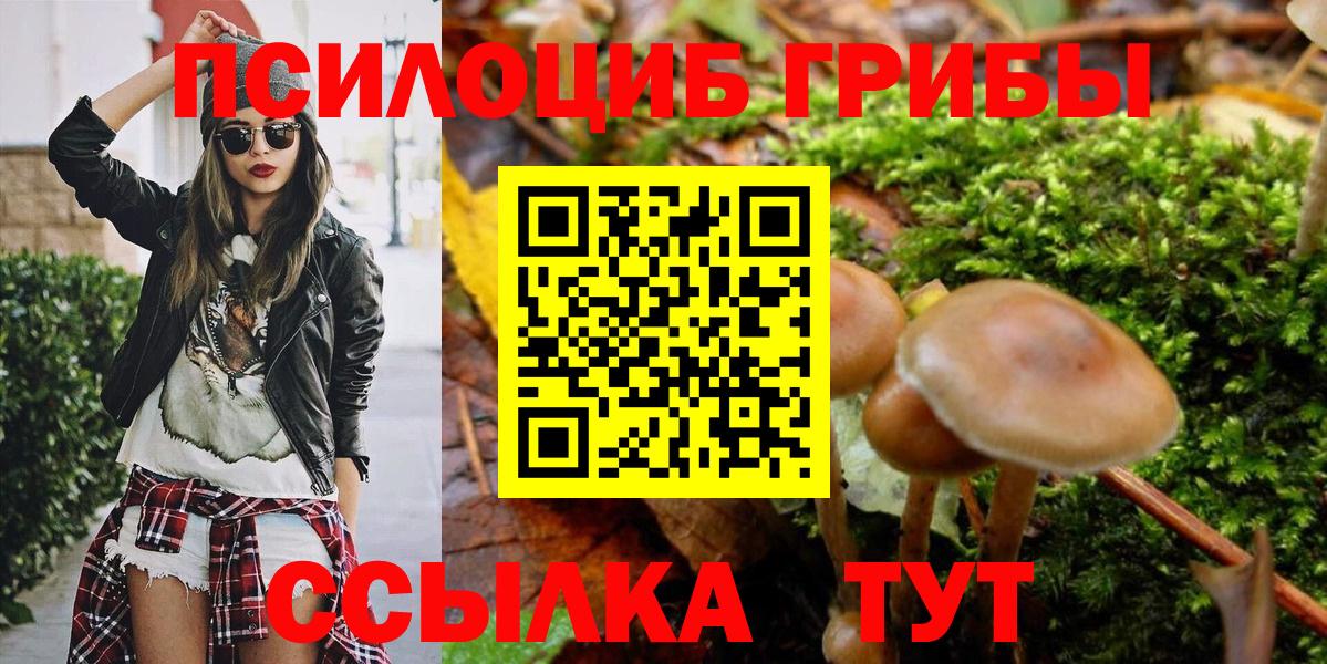 Галлюциногенные грибы Psilocybine cubensis Нефтеюганск