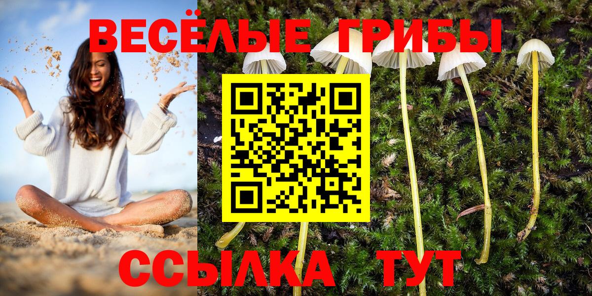 Галлюциногенные грибы мицелий  Псилоцибиновые грибы мухоморы  Нефтеюганск  Вход с VPN 