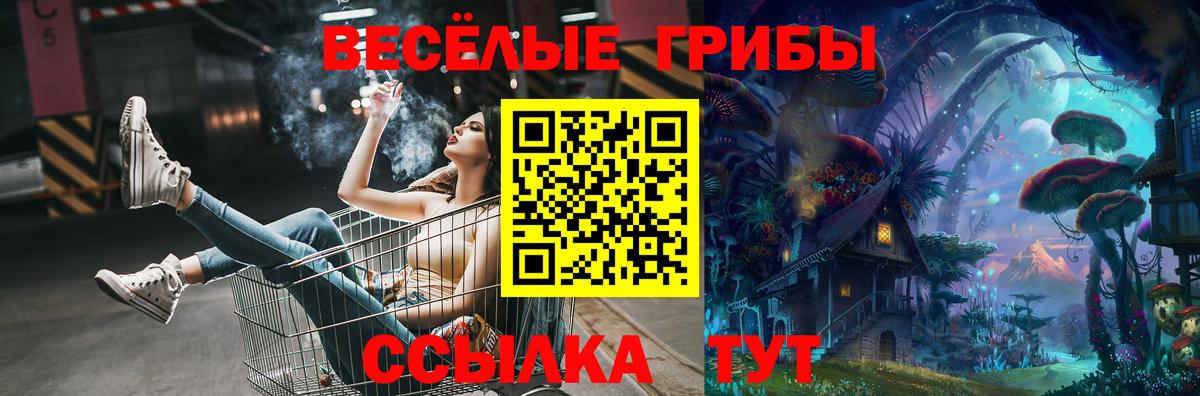 Псилоцибиновые грибы Cubensis  хочу   Псилоцибиновые грибы Psilocybine cubensis  Нефтеюганск 